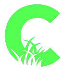 chamannet.favicon