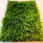 chaman-football-2
