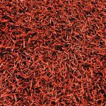 chaman-sadaf-fer-red