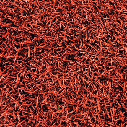 chaman-sadaf-fer-red