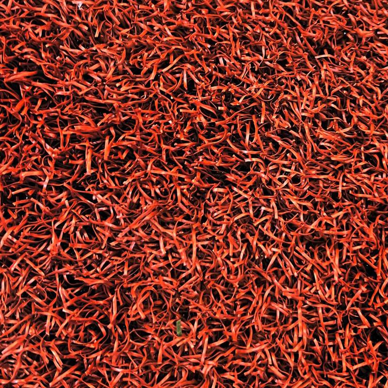 chaman-sadaf-fer-red