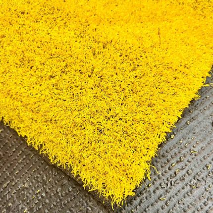 chaman-sadaf-fer-yellow-2