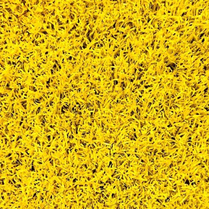 chaman-sadaf-fer-yellow