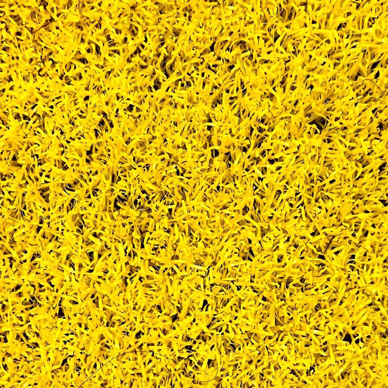 chaman-sadaf-fer-yellow