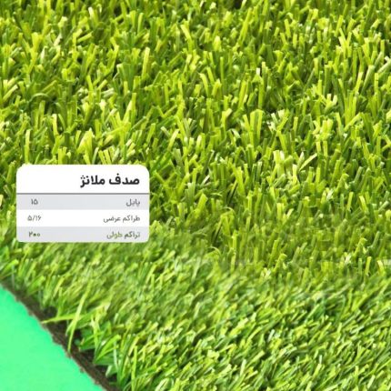 chaman-sadaf-two-color