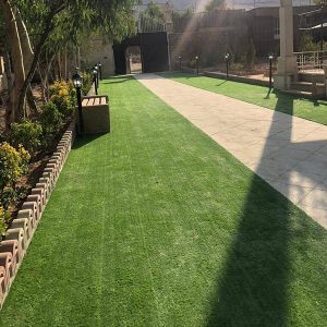 chaman-sadaf-two-color-nemune2