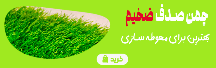 chaman-sadaf-zakhim-banner