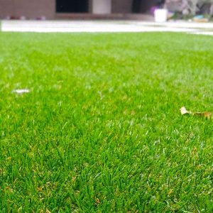 chamannet-chaman-fall-2-nemune