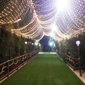 chamannet-chaman-sadaf-suzani-3-nemune
