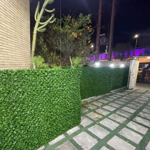 grass-fans-1.5m-nemune2