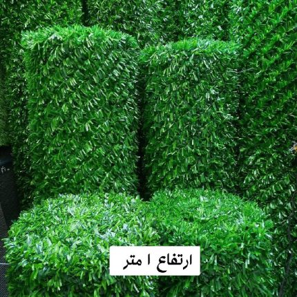 grass-fans-1m