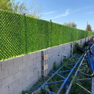 grass-fans-1m-nemune