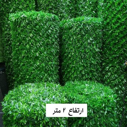 grass-fans-2m