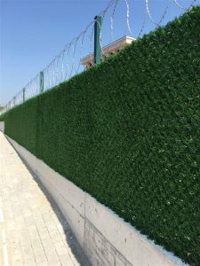 grass-fans-2m-nemune2