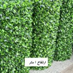 leaf-fans-1m
