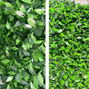 leaf-fans-2m-nemune