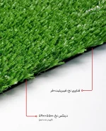 magnolia-grass