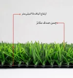 sadaf25-melanzh-2