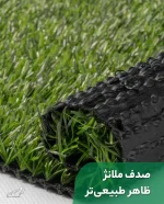 sadaf25-melanzh-3