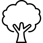 گرینوال و درختچه مصنوعی