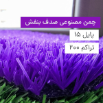 chaman-sadaf-purple