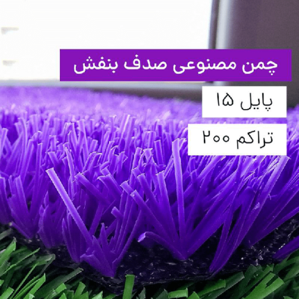 chaman-sadaf-purple