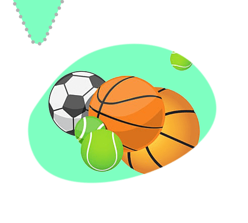 new-cat-sports