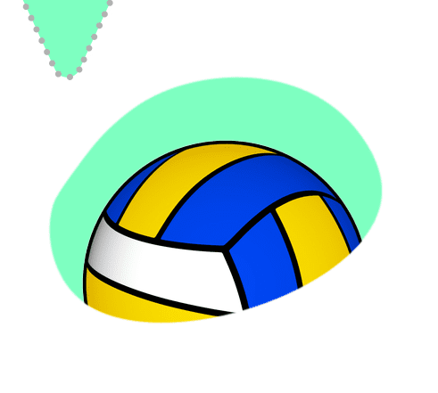 new-cat-volleyball-carpet
