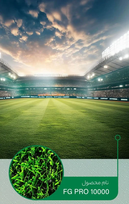 foorball-grass-porfolio